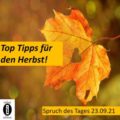 Unsere Top Tipps für den Herbst! // Spruch des Tages 23.09.21