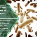 Bifidobacterium Longum Market Country Specific Market Report 2022 | Industry Gross Margin, Trends, Share, Size, Future Demand, Analysis by Top Leading Player, Progression Status and Forecast till 2030