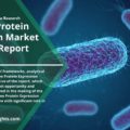 Cell Free Protein Expression Market Analysis Report 2022-2030 | In-depth Insights by Top Manufacturers, Global opportunities by Regions and Growth Status with Revenue, Forecast by R&I
