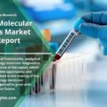Report On Oncology Molecular Diagnostics Market 2022: Growth, Demand-supply Scenario, Production and Value Chain Analysis, and Forecast to 2030| By R&I