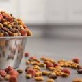 North India to Lead India Pet Food Market through FY2026