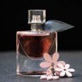 India Perfumes and Deodorants Market to Grow at 13% until 2025